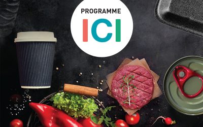 Programme d’accompagnement des industries, commerces et institutions (ICI)